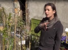 Des jasmins pour toutes les saisons