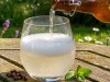 Limonade de fleurs de sureau noir ferment�e, le champagne des f�es !
