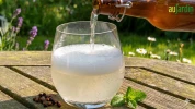 Limonade de fleurs de sureau noir ferment�e, le champagne des f�es !