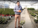 La main de bouddha, un agrume aux fruits en forme de main 