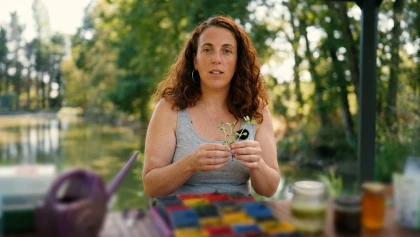 Multipliez vos plantes cet automne : la m�thode pas � pas pour r�ussir vos boutures