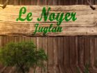 Noyer, Junglans : fiche botanique