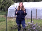 Comment organiser un grand jardin ?