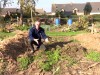 Paillage : comment la paille et les d�chets verts transforment votre potager en terre fertile pendant l'hiver