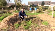 Paillage : comment la paille et les d�chets verts transforment votre potager en terre fertile pendant l'hiver