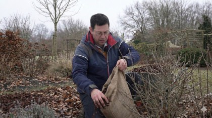 Paillage d'hiver : l'astuce pour ne plus travailler le sol au printemps