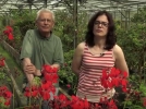 HORTIFLOR BUREAU, dcouverte des ppinires