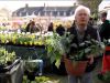 Le physalis, un joli fruit qui orne nos gteaux 