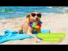La plage avec son chien, plaisir partag� et r�gles � respecter