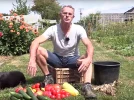 Le plaisir de la r�colte des l�gumes du potager 