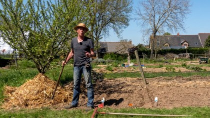 Cultiver des pommes de terre sous la paille : la m�thode �tape par �tape