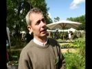 Les plantes aquatiques