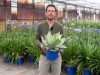 4 plantes de balcon r�sistantes � la s�cheresse : une s�lection "z�ro entretien"