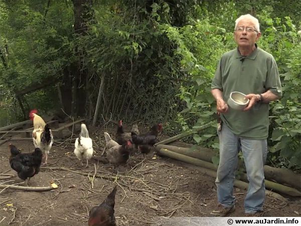 Le poulailler, la maison des poules