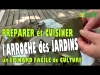 Prparer et cuisiner l'arroche des jardins, un pinard facile