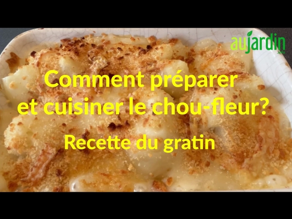 Prparer et russir la cuisson du chou-fleur et recette facile du gratin