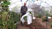 Comment protger les plantes glives ?