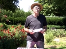 La pomme de terre, vos questions