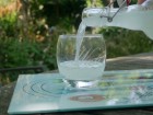 Comment fabriquer soi-m�me sa limonade de gingembre ferment�e ?