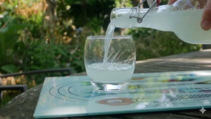 Comment fabriquer soi-m�me sa limonade de gingembre ferment�e ?