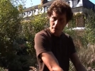 La sagine subule pour une pelouse sans entretien
