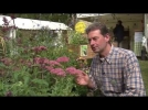 Le sdum des jardins