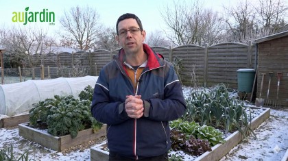 SOS Grand Froid : ne laissez pas l'hiver g�cher votre potager !