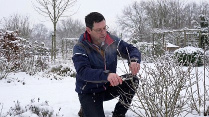 Taille d'hiver : le guide complet pour ne plus se tromper