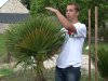 6 techniques d'hivernage, protger vos plantes du gel