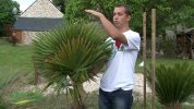 6 techniques d'hivernage, protger vos plantes du gel