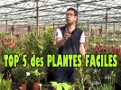 TOP 5 des PLANTES FACILES au JARDIN