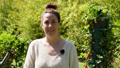 Tour � fraises en PVC : concevoir, arroser et r�ussir son potager vertical
