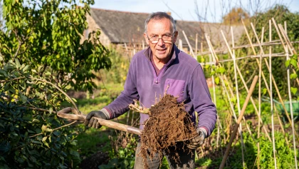 Transplanter un arbre fruitier