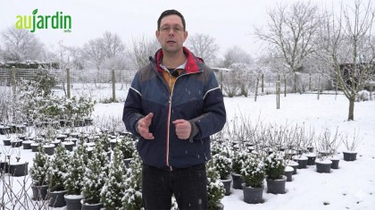 Les travaux indispensables au jardin durant l'hiver