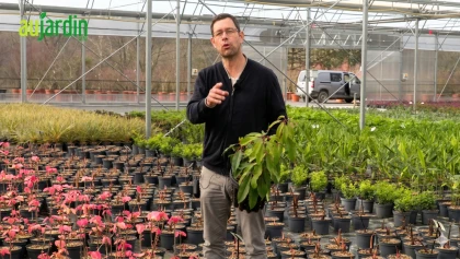 Trois tr�sors botaniques pour transformer votre jardin en jardin de collectionneur