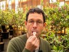 Le tulbaghia et le feijoa : deux fleurs comestibles �tonnantes � d�guster