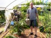 Purin d'ortie au potager : secrets de fabrication, dilution et conservation