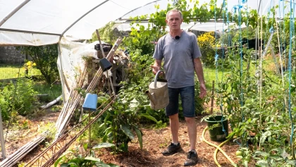 Purin d'ortie au potager : secrets de fabrication, dilution et conservation