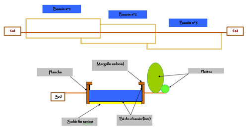 Coupe de la mise en place des bassins