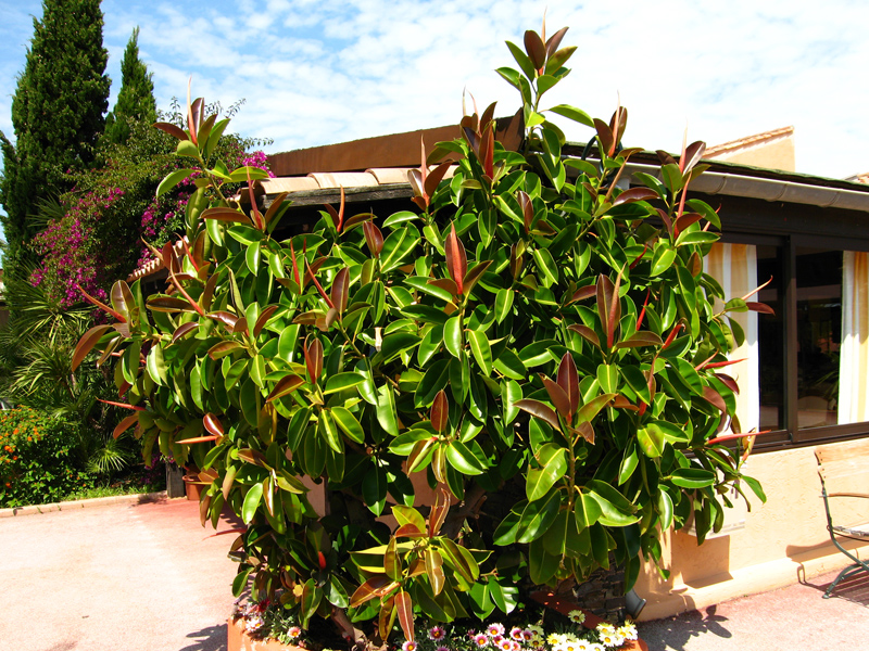 big fake house plants Dekorly Plastic Fake Plants Artificial Floor Plants Large Tropical Pal main image 0