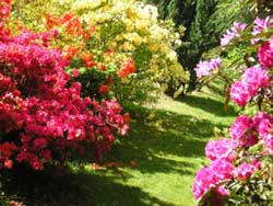 Le jardin de Lostanges