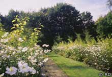 Le jardin du Château de Versailles (78)