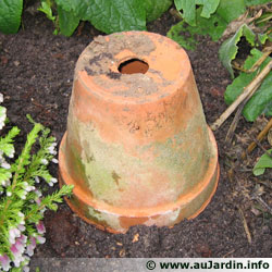 Pot retourné rempli de feuilles mortes