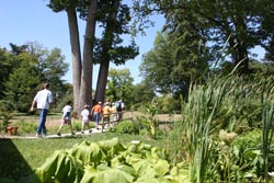 sur les traces de l'arbre des songes Arboretum national des Barres C.Vermillard