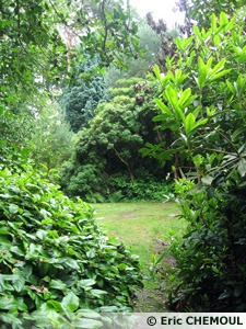 Bois des Moutiers, vue