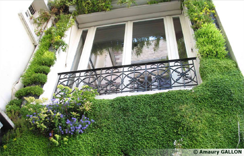 Jardins de Babylone - Mur