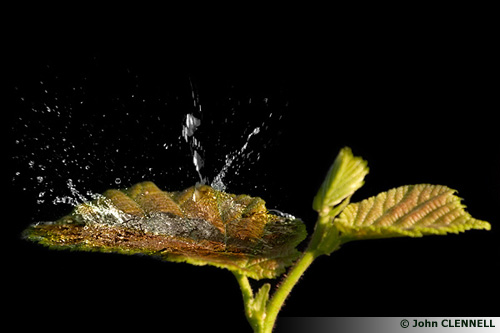 L'orage