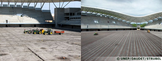 La pelouse des terrains de rugby