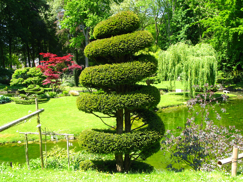 L'if au jardin — free download