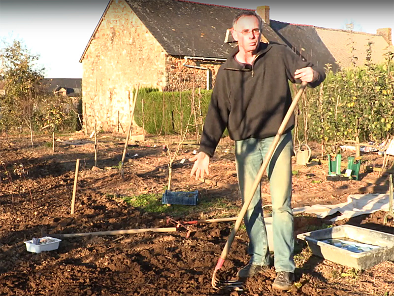 Quand se fait la plantation de l'ail en automne, en hiver ou en printemps ?  - PRÊT A JARDINER